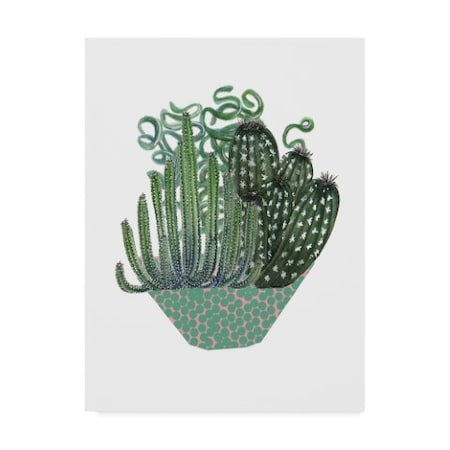 Melissa Wang 'Cactus Arrangement Ii' Canvas Art,35x47